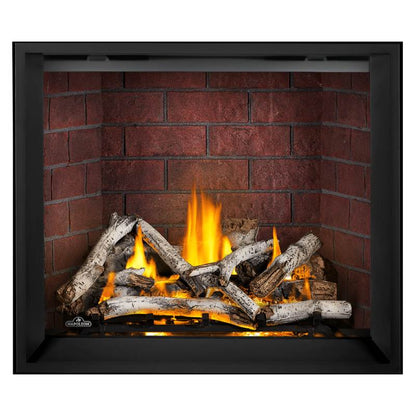 Napoleon Elevation X 42" Direct Vent Gas Fireplace | EX42