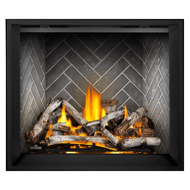 Napoleon Elevation X 42" Direct Vent Gas Fireplace | EX42