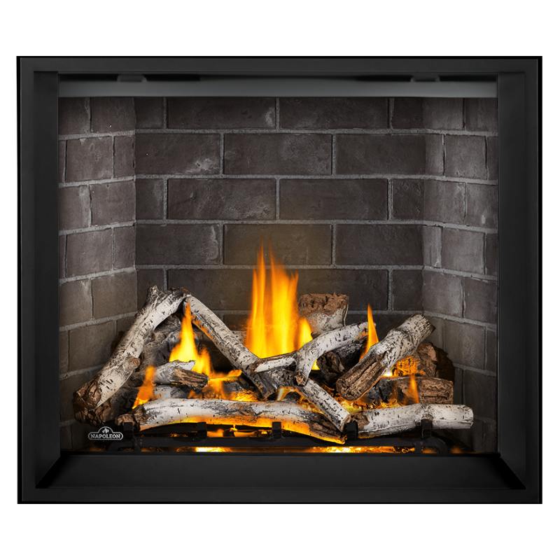 Napoleon Elevation X 42" Direct Vent Gas Fireplace | EX42