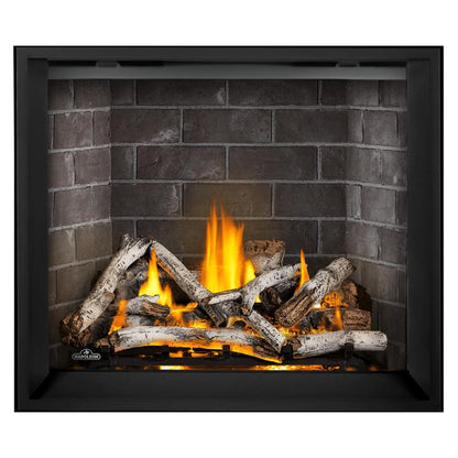 Napoleon Elevation X 42" Direct Vent Gas Fireplace | EX42