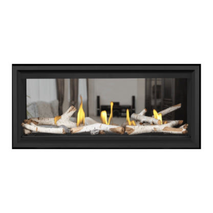 Napoleon Vector 38" See Thru Linear Direct Vent Gas Fireplace | LV38N2-1