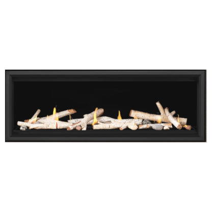 Napoleon Vector 50" See-Through Linear Direct Vent Gas Fireplace | LV50N2-2