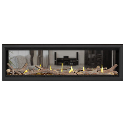 Napoleon Vector 62" See Thru Linear Direct Vent Gas Fireplace | LV62N2