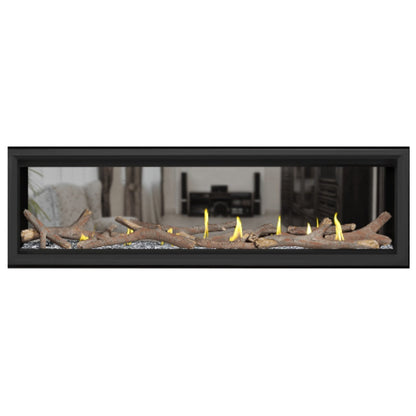 Napoleon Vector 62" See Thru Linear Direct Vent Gas Fireplace | LV62N2