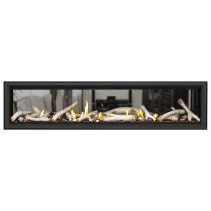 Napoleon Vector 74" See Thru Linear Direct Vent Gas Fireplace | LV74N2