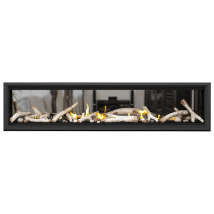 Napoleon Vector 74" See Thru Linear Direct Vent Gas Fireplace | LV74N2