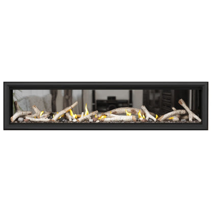 Napoleon Vector 74" See Thru Linear Direct Vent Gas Fireplace | LV74N2