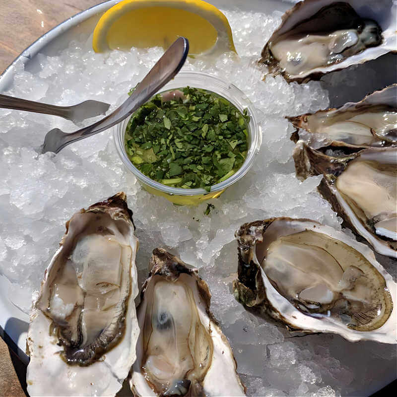 Perlick Signature Series Panel Ready 80 Lb. 15-Inch Outdoor Cubelet Ice Maker - H80CIMW