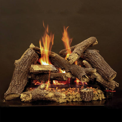 Empire Elite Radiant Vented Gas Burner with Millivolt Valve and Variable Flame Valve - BFR-R