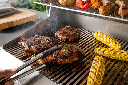 American Outdoor Grill T-Series 24-Inch Freestanding Series Gas Grill