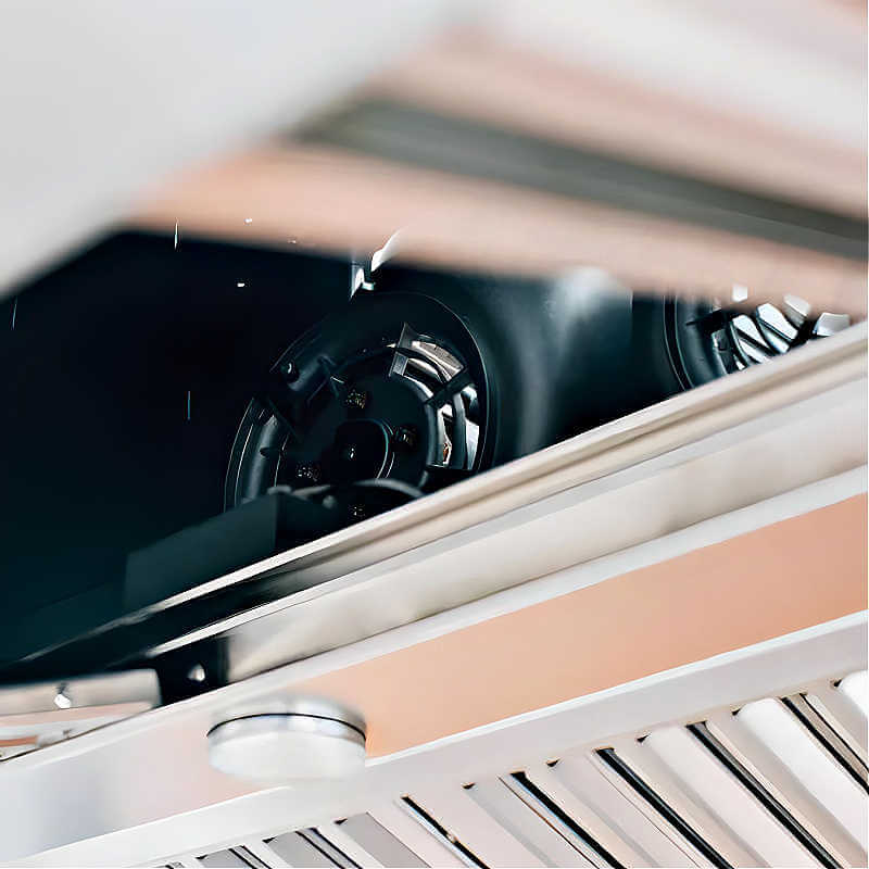 TrueFlame 48 Inch 2000 CFM Outdoor Rated Vent Hood - TF-VH-48