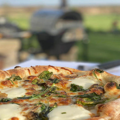 WPPO Karma Professional 42 Inch Stainless Steel Wood Fired Pizza Oven - WKK-03S-304SS