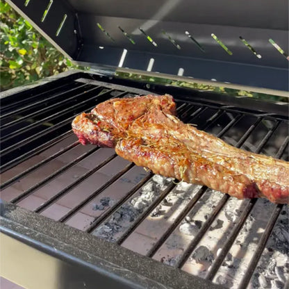 Tromen Chulenguito Freestanding Argentine Charcoal Grill