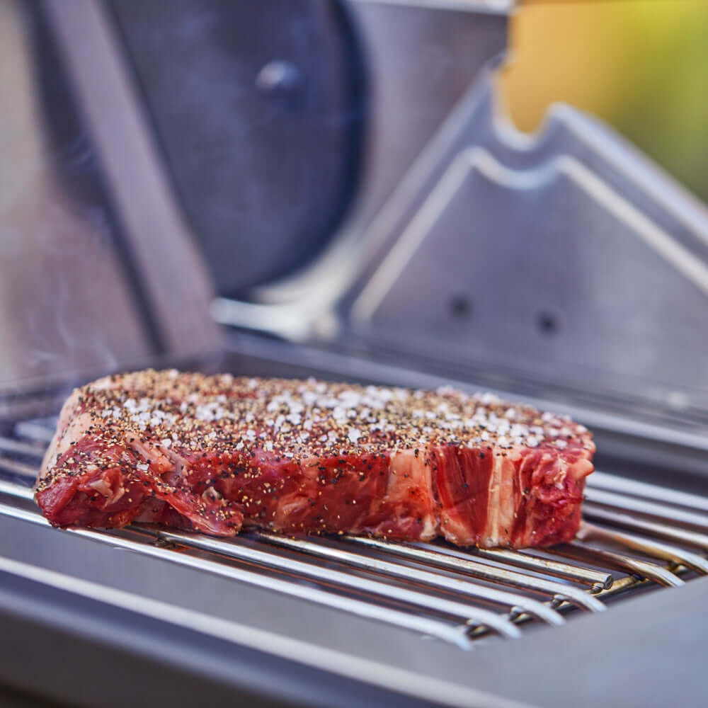 Monument Denali 605 Pro | Stainless Smart Propane Gas Grill