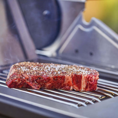 Monument Denali 605 Pro | Stainless Smart Propane Gas Grill