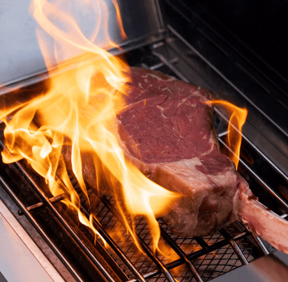 Monument Eminence 605 | Master Stainless Natural/Propane Gas Grill
