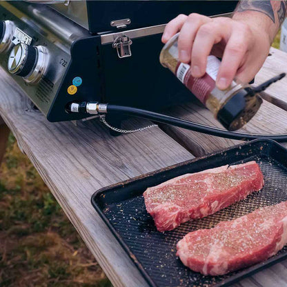 Monument 2-Burner | Stainless Steel Portable Propane Gas Grill