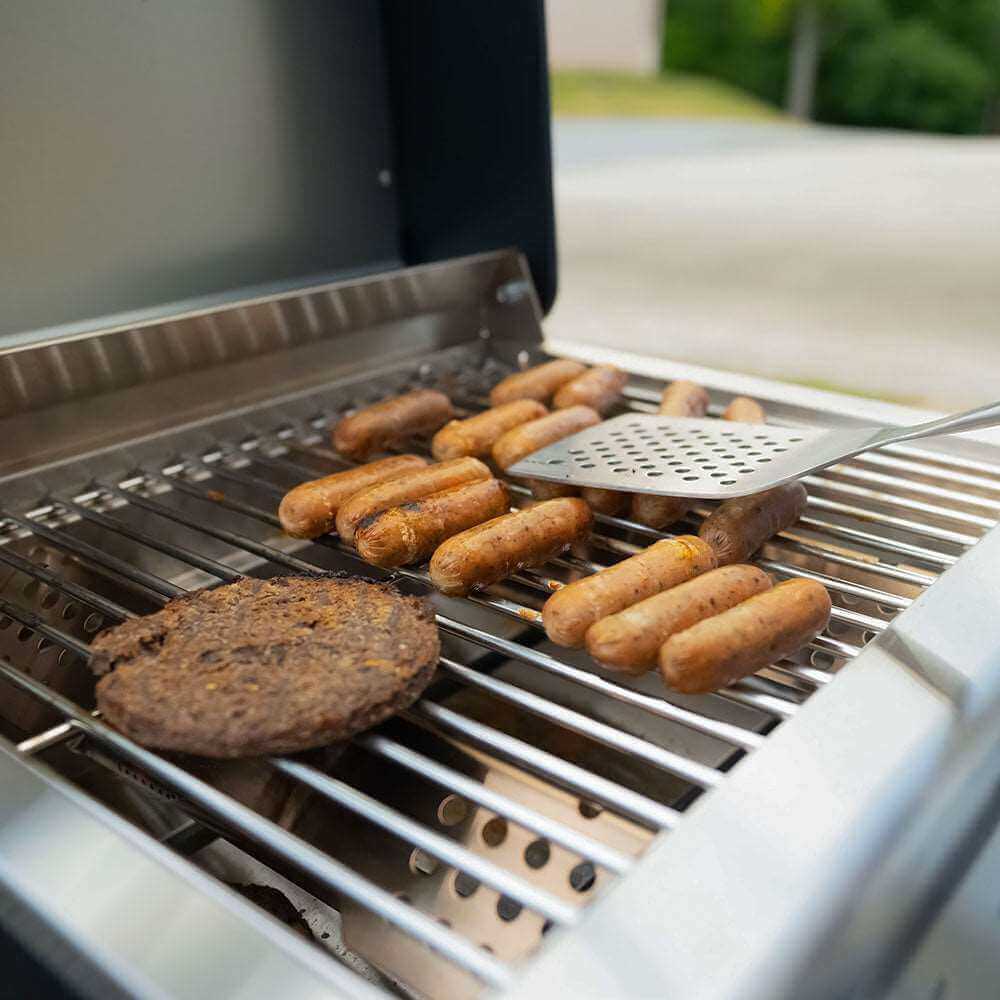 Monument 2-Burner | Stainless Steel Portable Propane Gas Grill