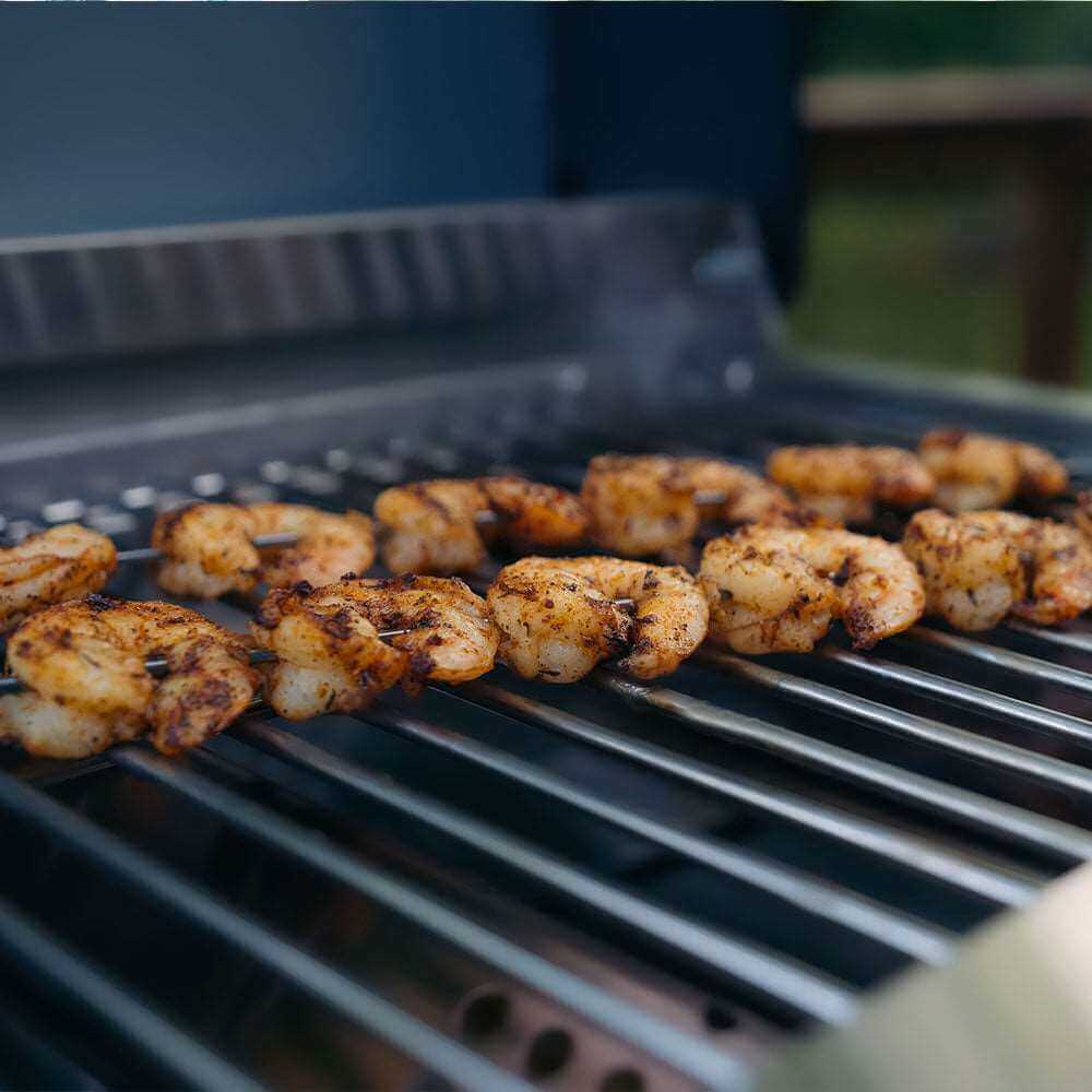 Monument 2-Burner | Stainless Steel Portable Propane Gas Grill