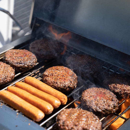 Monument 2-Burner | Stainless Steel Portable Propane Gas Grill