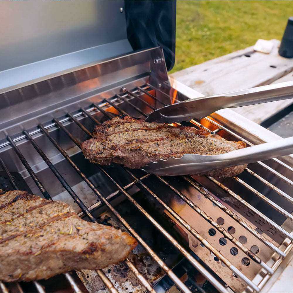 Monument 2-Burner | Stainless Steel Portable Propane Gas Grill