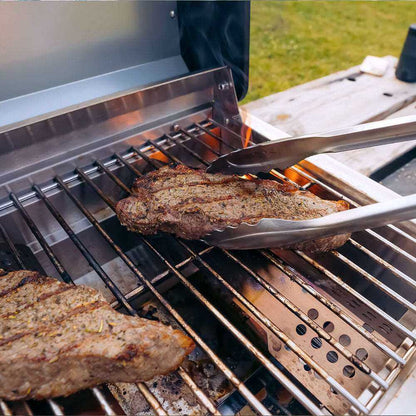 Monument 2-Burner | Stainless Steel Portable Propane Gas Grill