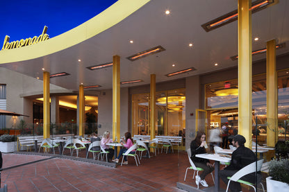 Infratech WD-Series Double Element 5200Watt Outdoor Infrared Electric Heater | 277V