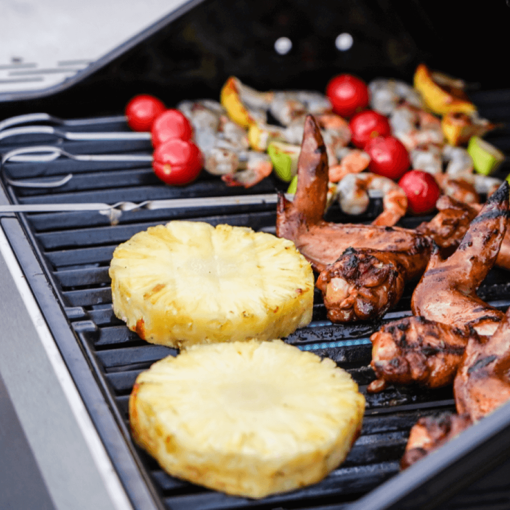 Monument Mesa 200S | Foldable Stainless Steel Gas Grill