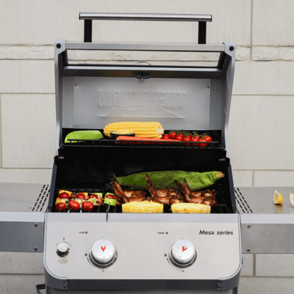 Monument Mesa 200S | Foldable Stainless Steel Gas Grill