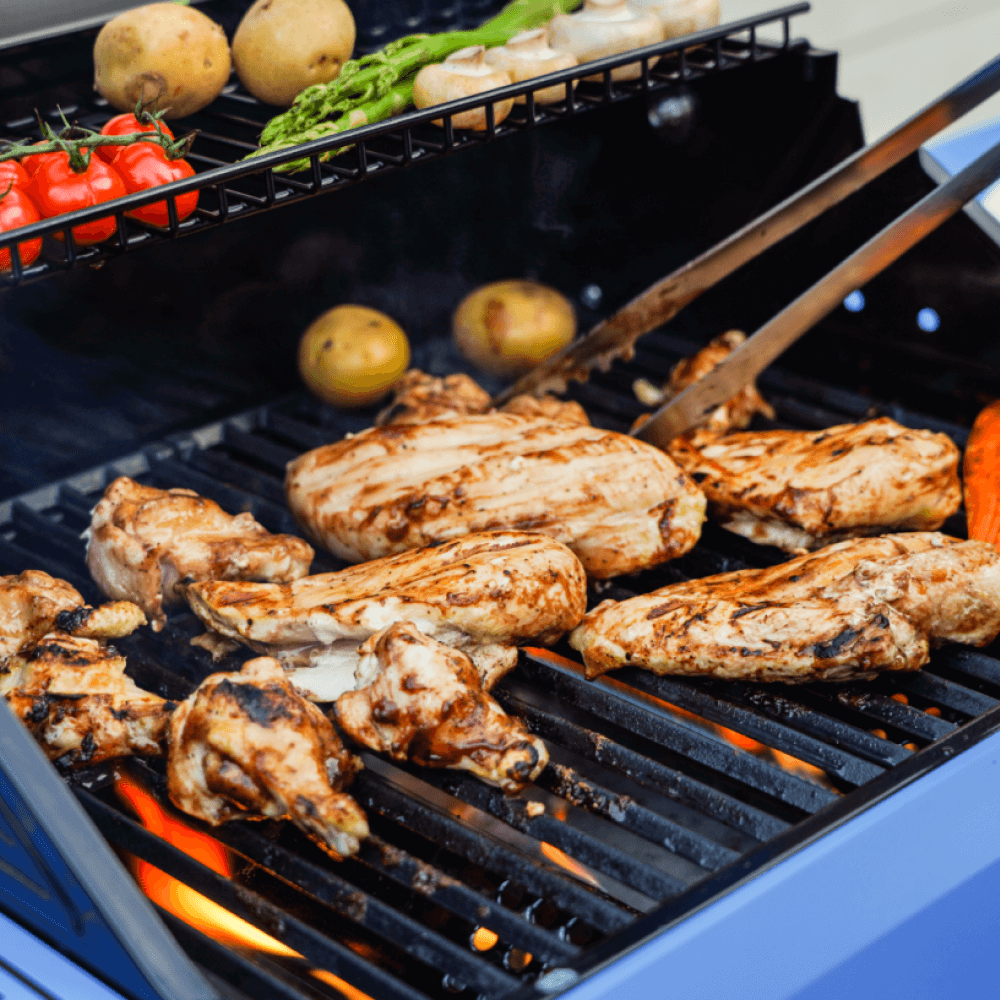 Monument Mesa 200S | Foldable Stainless Steel Gas Grill