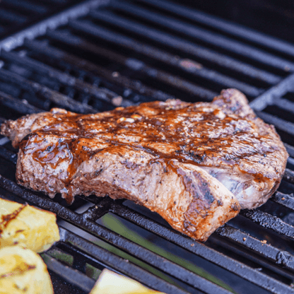 Monument Mesa 305 | Stainless Steel Propane Gas Grill