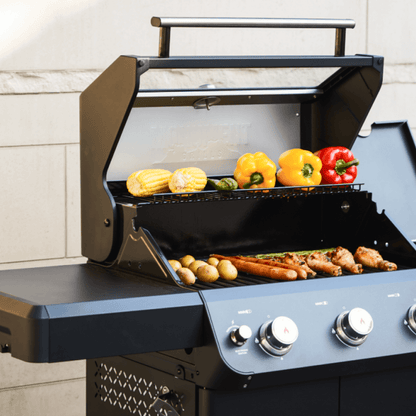 Monument Mesa 325 | Black Propane Gas Grill