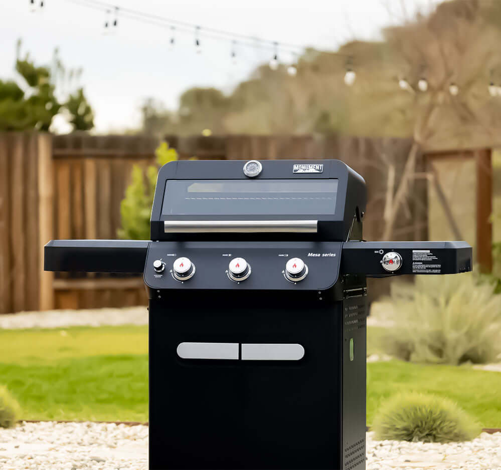 Monument Mesa 325 | Black Propane Gas Grill