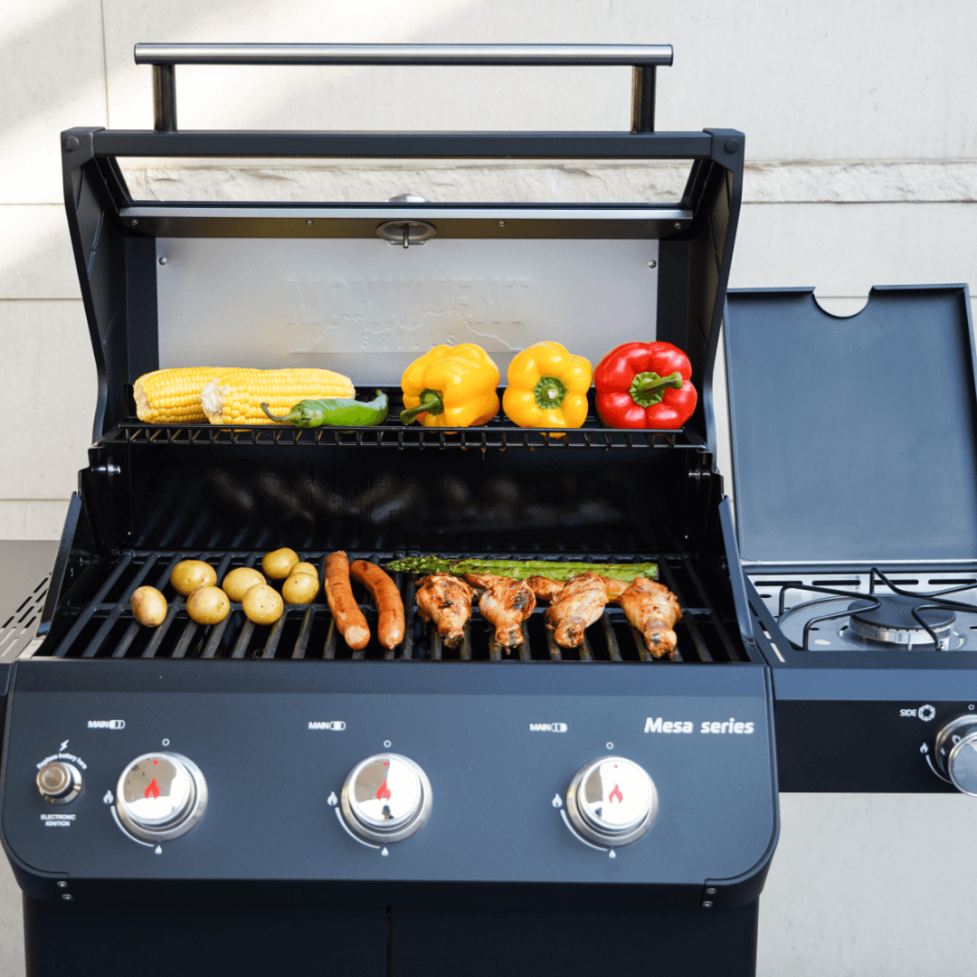 Monument Mesa 325 | Black Propane Gas Grill