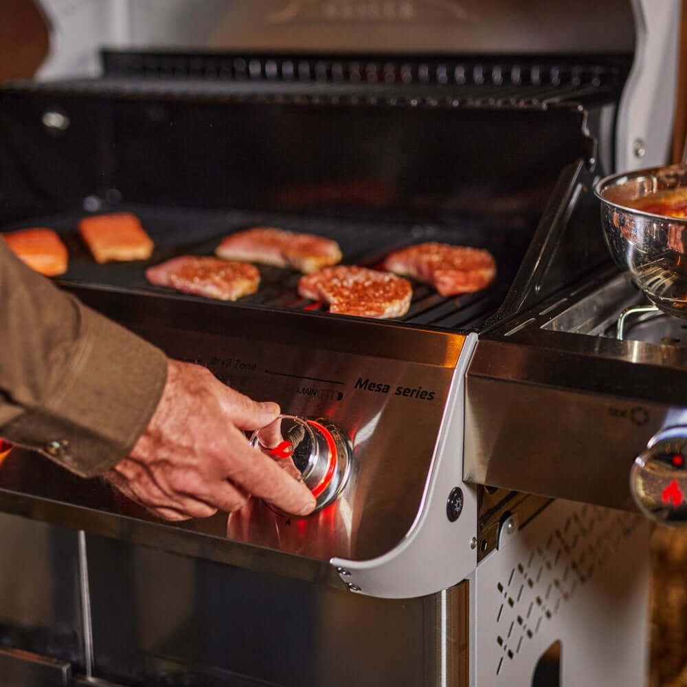 Monument Mesa 415BZ | Stainless Steel Propane Gas Grill