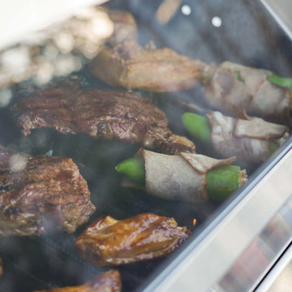 Monument Mesa 415BZ | Stainless Steel Propane Gas Grill