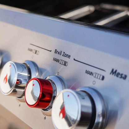 Monument Mesa 415BZ | Stainless Steel Propane Gas Grill