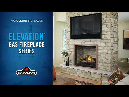 Napoleon Elevation 42-Inch Direct Vent Gas Fireplace | E42