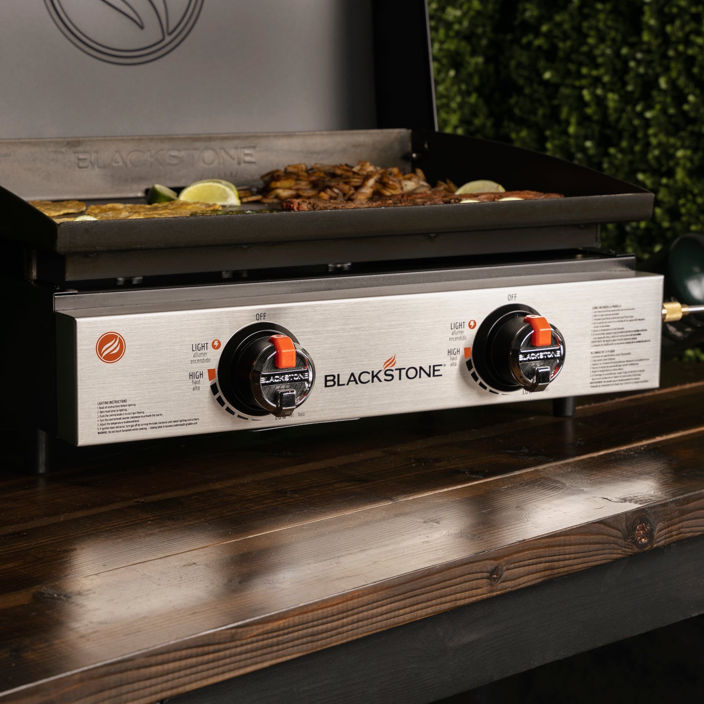 Blackstone - 22" Tabletop Griddle Stainless - 2205