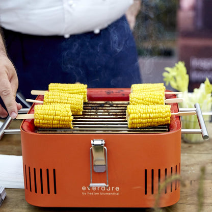 Everdure CUBE 17-Inch Portable Charcoal Grill