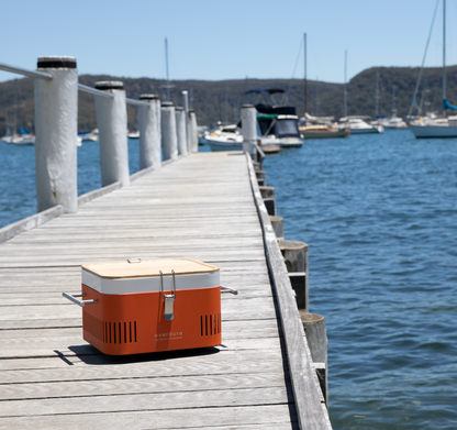 Everdure CUBE 17-Inch Portable Charcoal Grill