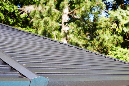 Gazebo Penguin - Venus Slate Gazebo with Metal Roof