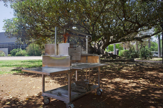 Tagwood BBQ XL Argentine Santa Maria Wood Fire & Charcoal Grill - BBQ23SS